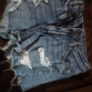 American Eagle Outfitters Blue Jean Shorts
